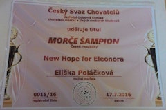 New Hope for Eleonora