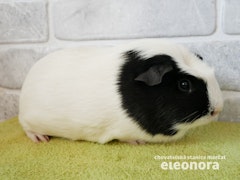 Werdel Hostýnky Mountains